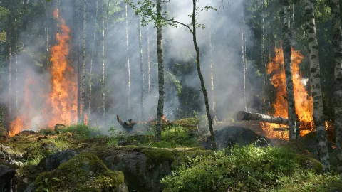 Presa ‘Los Colibríes’ en Puebla es cerrada como protesta; dejan sin agua a Xalapa