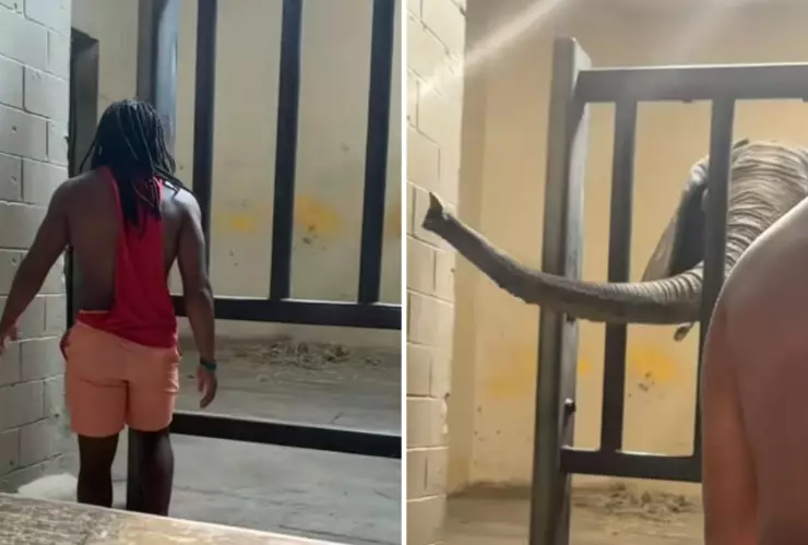 Puso en peligro su vida por atención en redes sociales, ahora enfrenta cargos.jpg