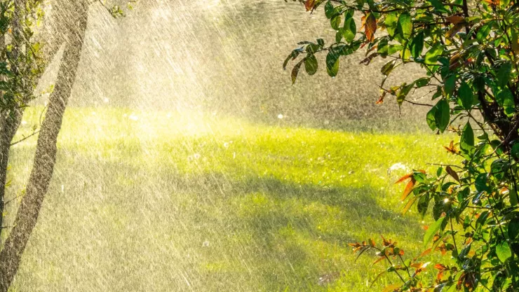 Clima hoy 15 de agosto en Guanajuato