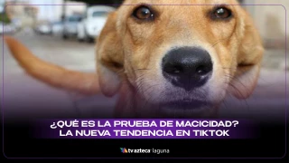 Prueba de macicidad qué significa el nuevo trend TikTok