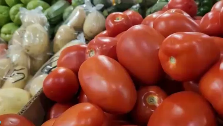 Precio del jitomate se dispara hasta 50 pesos por kilo en Acapulco; familias cambian sus hábitos de consumo