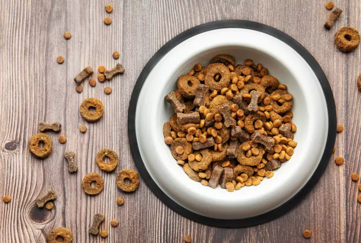Comida para perro
