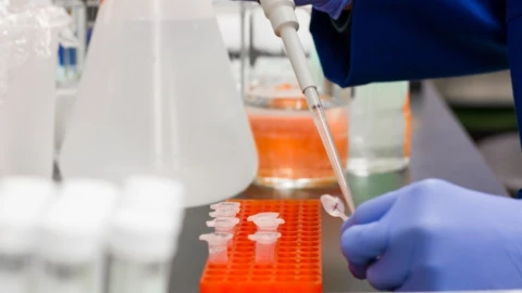 banco datos adn cdmx.jpg