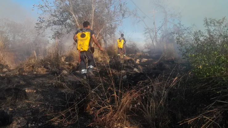 incendio jardín acapulco