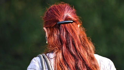 Teoría del cabello ondulado