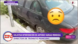 Autos maceta en Veracruz.