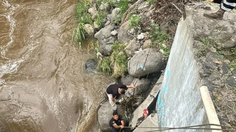 Rescate perrito Temixco