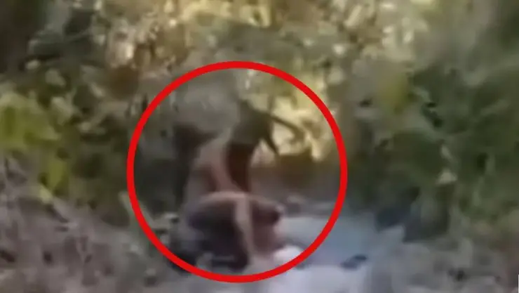 El estadounidense que pensó por AÑOS que estaba perdido en una selva, pero realmente era Puerto Vallarta