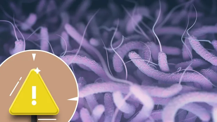 ¡Alerta máxima en Florida! La bacteria “come carne” ya dejó varias víctimas y podría propagarse con los huracanes.jpg