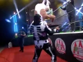 Lucha Fighter