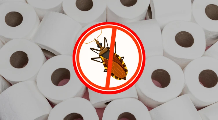 /estilo-de-vida/repelente-casero-tubos-papel-higiénico-cucarachas