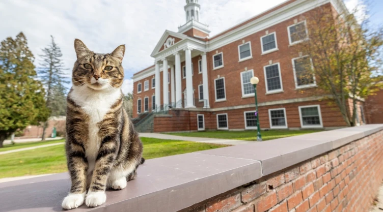 Gatito obtiene doctorado en la Universidad de Vermont