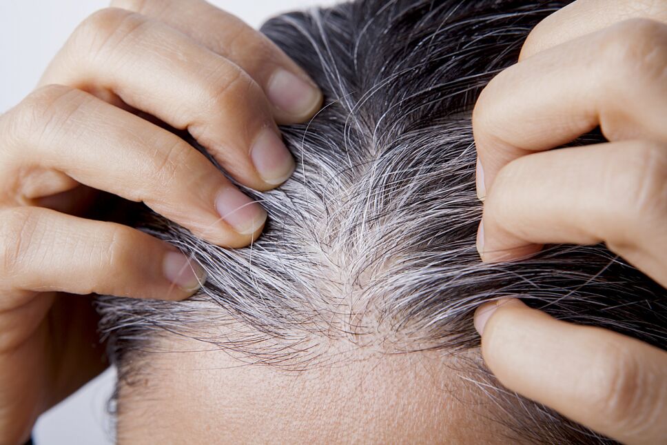 nacimiento de canas