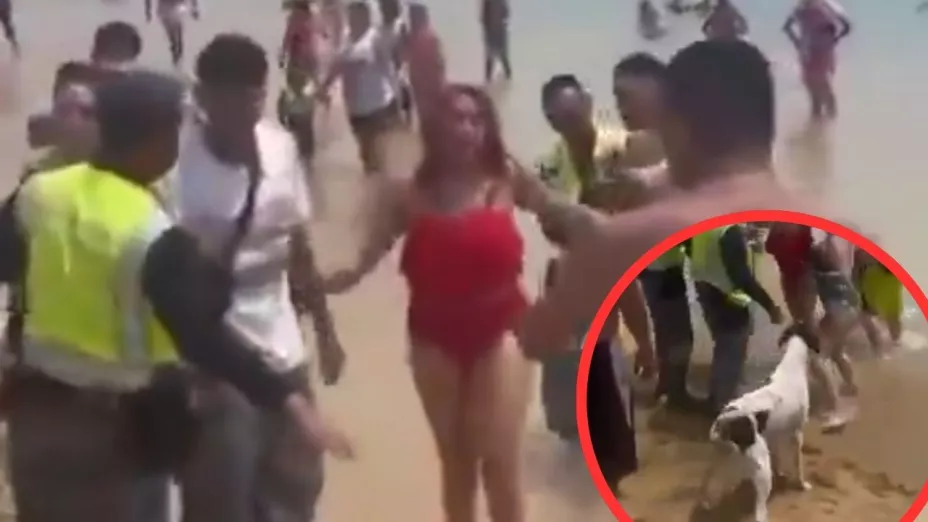 Batalla campal en el puerto de Acapulco; Perro se mete a la pelea