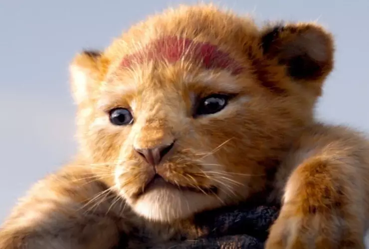 Recrean escenas de la película El Rey León con un gatito. (VIDEO)
