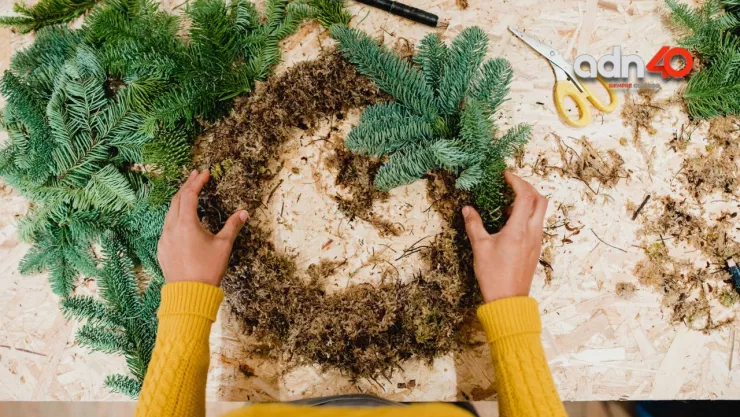 Por qué no debes usar musgo durante la Navidad 2022