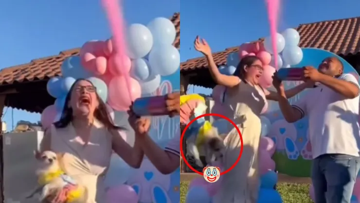 Avientasn a su perro en plena relevación de sexo