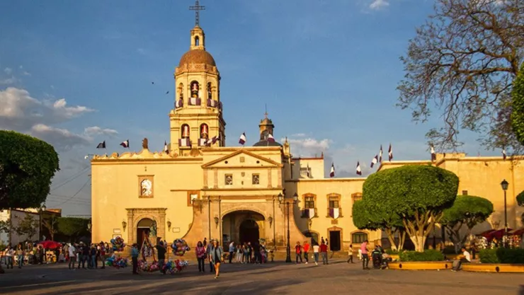 arbol con espinas de cruz en queretaro.jpg