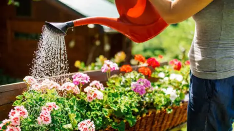 El riego de las plantas debe ser acorde a sus necesidades