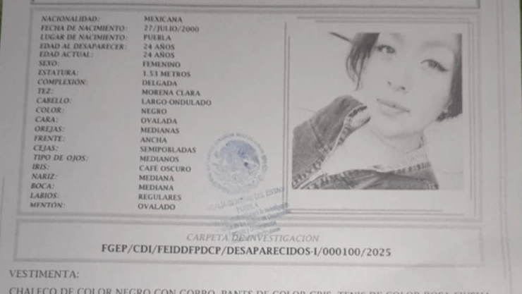 desaparecida maría magdalena barrera puebla balcones del sur