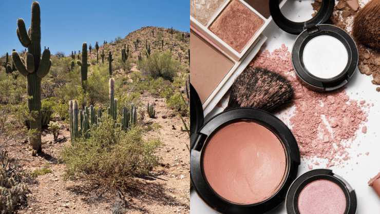 Los mejores maquillajes naturales para ir al desierto.png