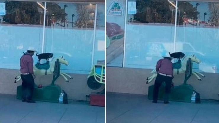 VIDEO: Un señor subió a su perrito a cabalgar un juego mecánico