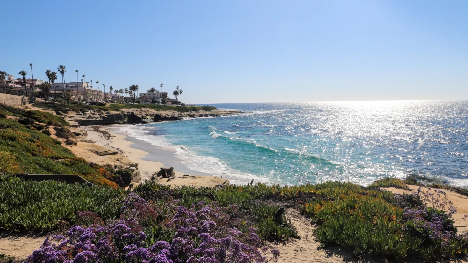 Una playa de San Diego, con las pequeñas olas de aguas turquesas rompiendo en la costa y la vegetación al borde de la arena.