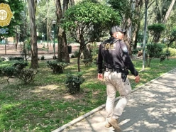 Mueren perros envenenados en Parque España: esto se sabe