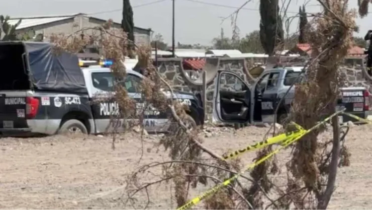 ¡De terror! Vecinos captan a un perro con una pierna humana en el hocico