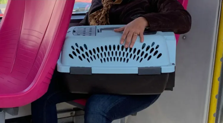 ¿Se puede viajar con tu mascota en el Metro y Metrobús?