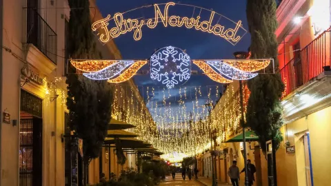 andador guadalupe en san cristobal de las casas adornado para año nuevo y navidad 2024.jpg