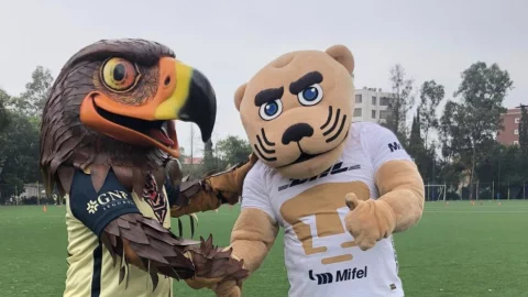 ONU pide paz y respeto en el partido América Pumas