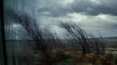 ¡Frío extremo afectará a 11 municipios! ¿Cuáles Así el pronóstico del clima en Guanajuato hoy viernes 6 de marzo.jpg