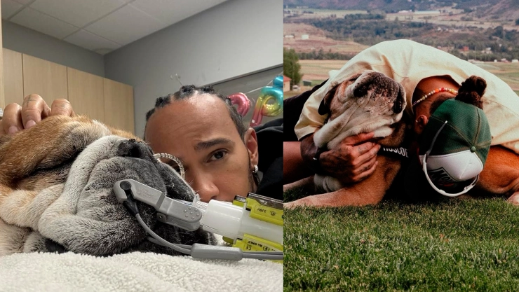 perro de Lewis Hamilton