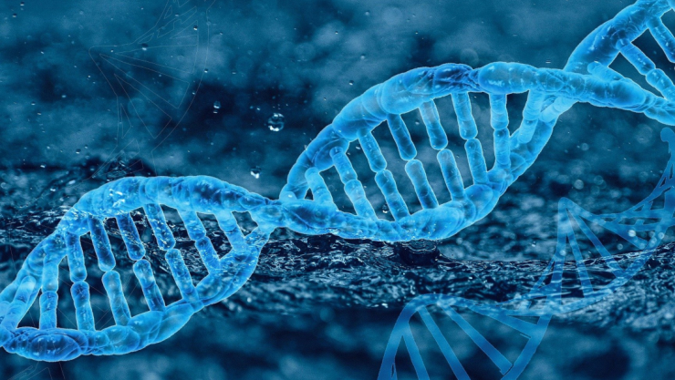 variante genetica covid-19 vih