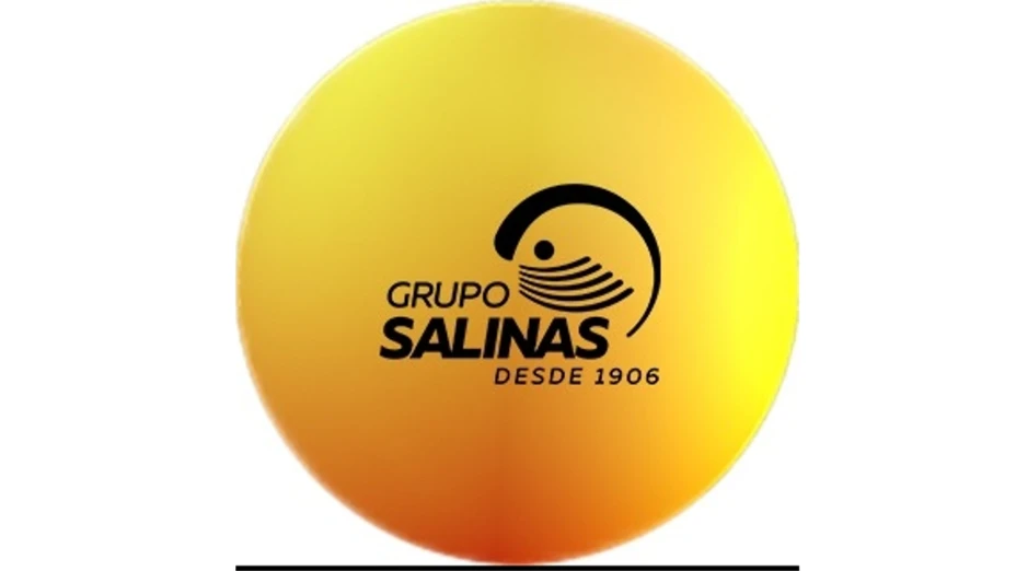 logo, Grupo Salinas.jpg