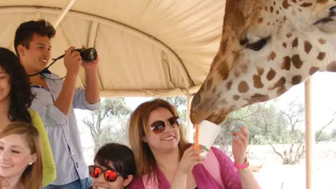 Recorrido a Reino Animal