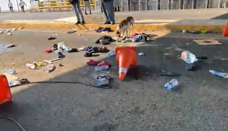 migrantes viva mexico.jp