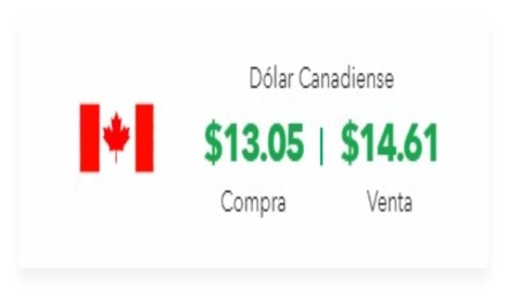 Tipo de cambio: Precio del dólar hoy 9 de octubre 2024