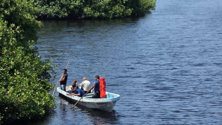 Andrés Alejandro, niño de Cortazar, fue atacado por cocodrilo en Lázaro Cárdenas.png
