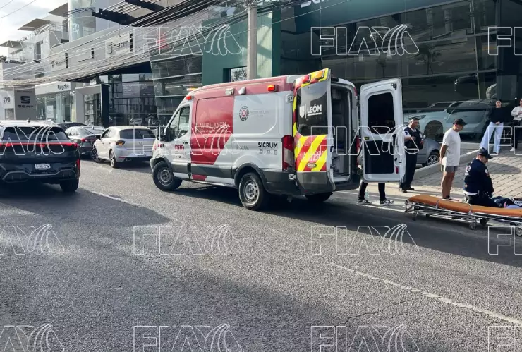 Atropellada bulevar Cerro Gordo León hoy
