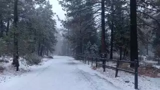 Primera nevada en México noviembre de 2025