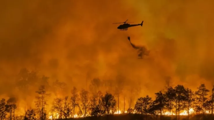 Incendios Green Fire y Orleans Complex mantienen alerta en California tras casi un mes activos