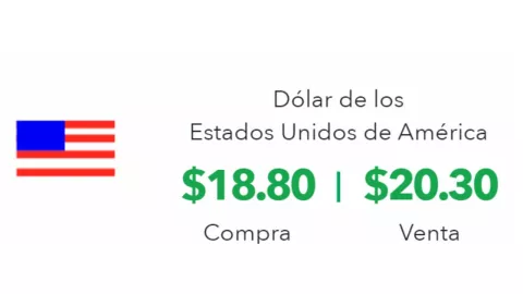 Tipo de cambio: Precio del dólar hoy 24 de octubre 2024 en México