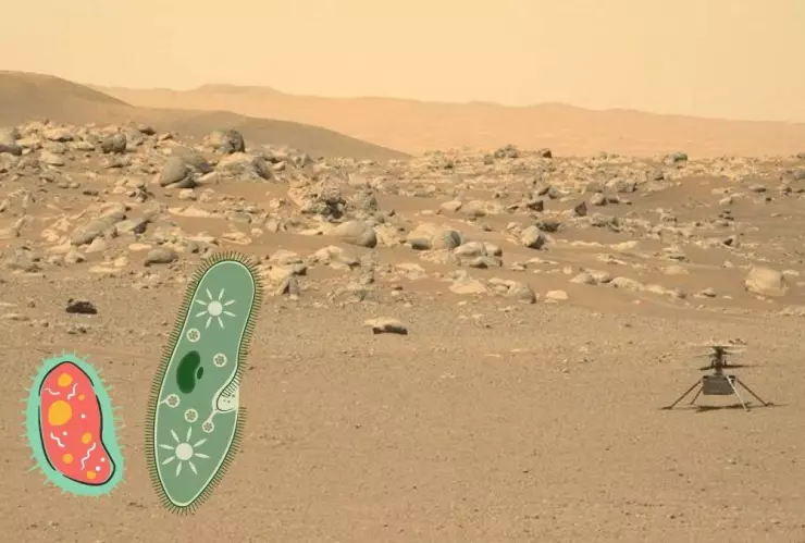 Radiación, vida, Marte.jpg