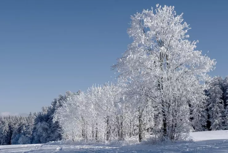 El día que nevó en Mexicali; se registró la primera y última nevada
