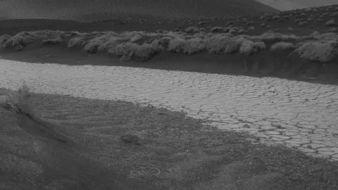 Presa Las Lajas en Chihuahua, en sequía extrema; mortandad de animales va en aumento|Pexels