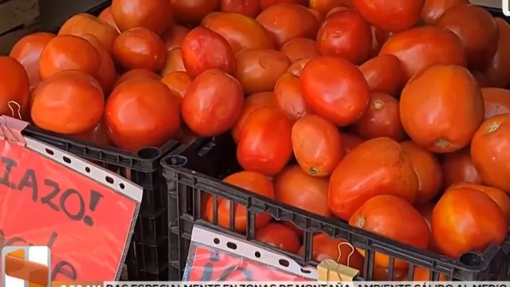 tomate