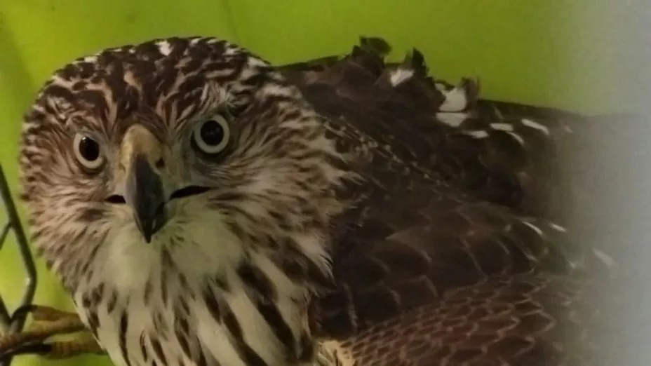 1280 x 720 px - 2025-11-25T145833.636.jpg