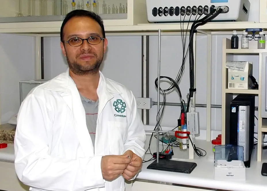 Cinvestav Nanotecnologia ácido úrico.jpg